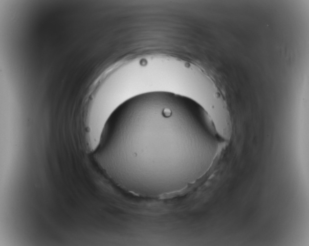 X0000084020146200703091955