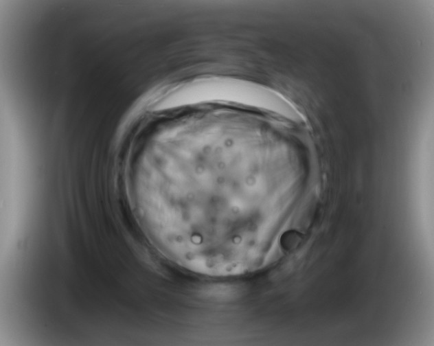 X0000084020149200703091955