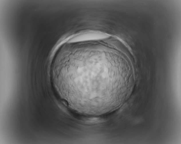 X0000084020151200703091955