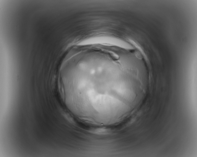 X0000084020153200703091955