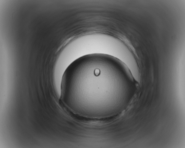 X0000084020154200703091955