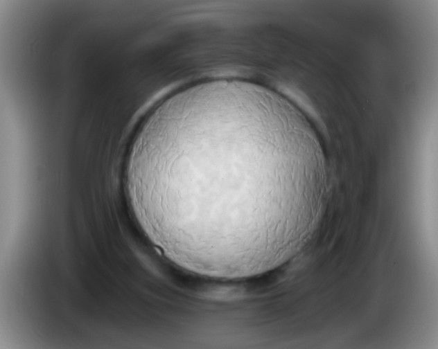 X0000084020155200703091955