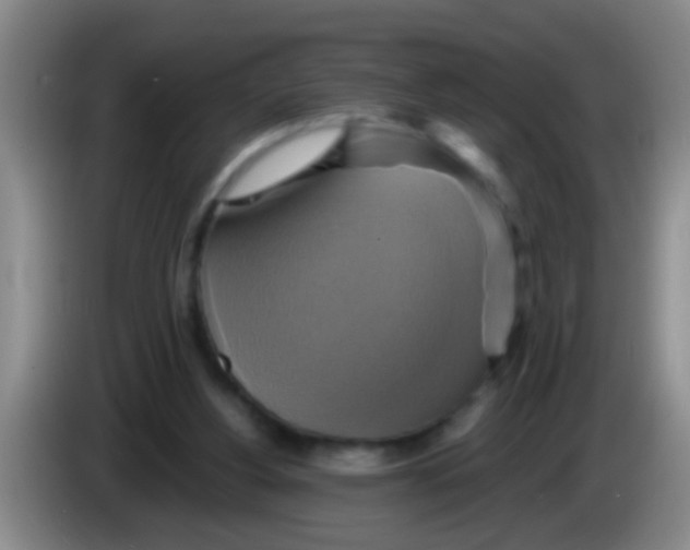 X0000084020156200703091955