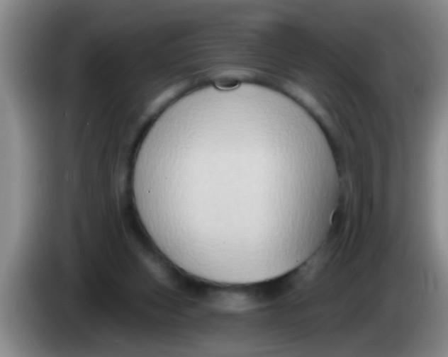 X0000084020159200703091955