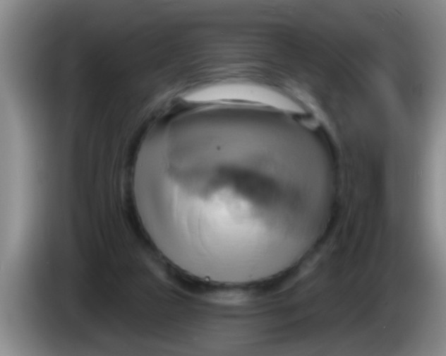 X0000084020161200703091955