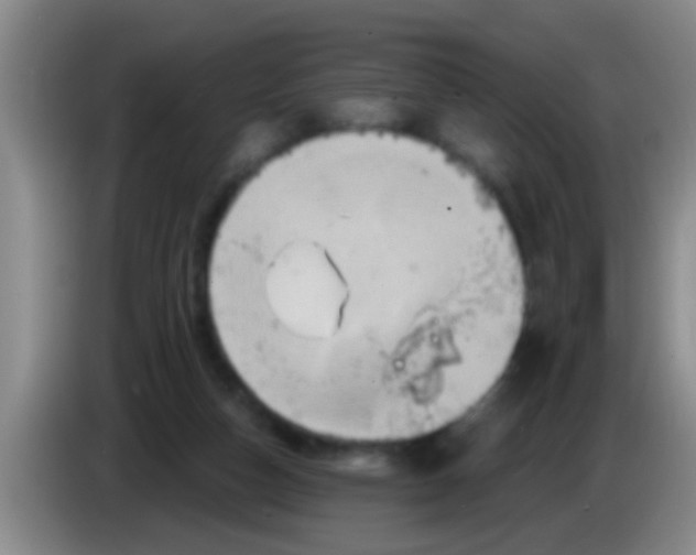 X0000084020162200703091955