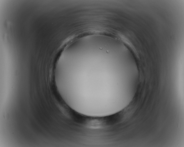 X0000084020163200703091955