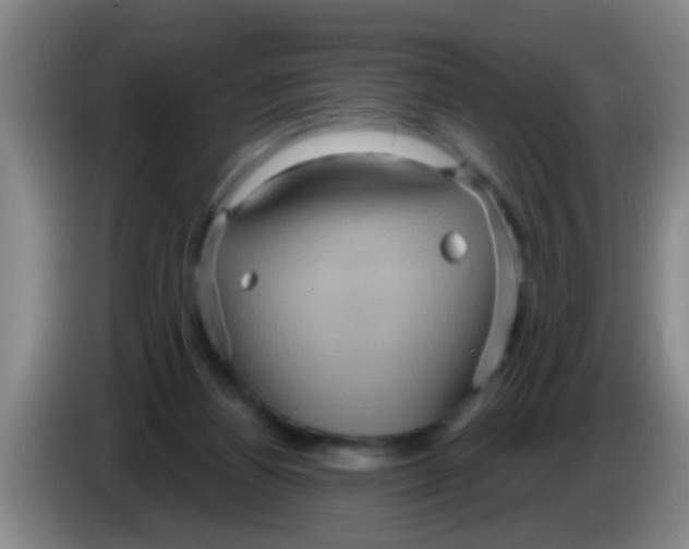 X0000084020164200703091955