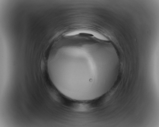 X0000084020165200703091955