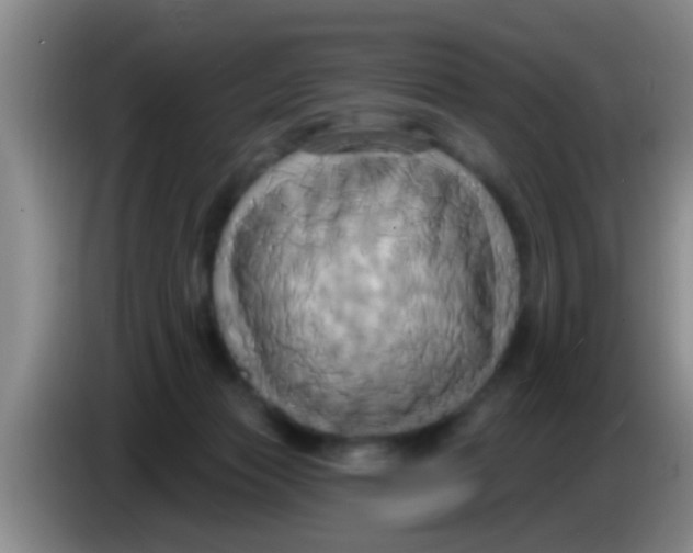 X0000084020173200703091955