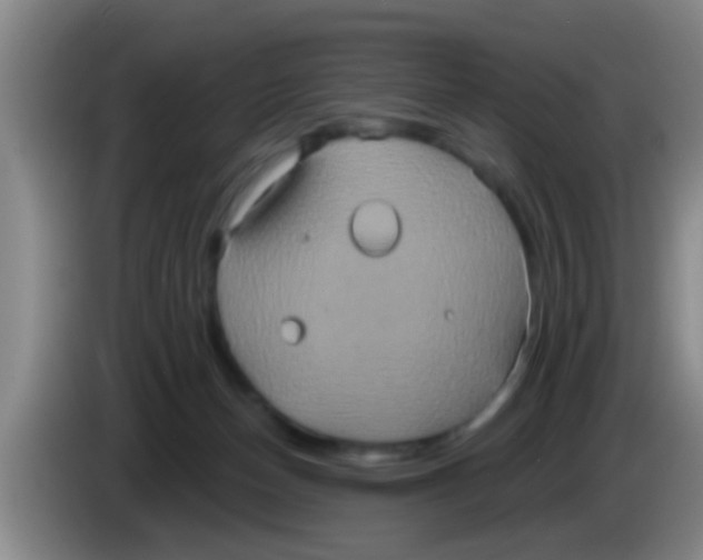 X0000084020174200703091955