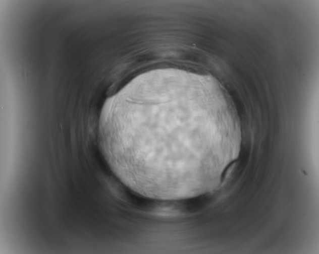 X0000084020175200703091955