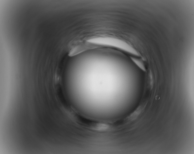 X0000084020176200703091955