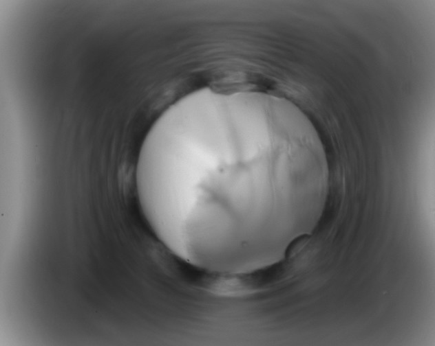 X0000084020177200703091955