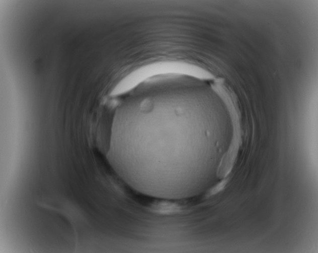 X0000084020180200703091955