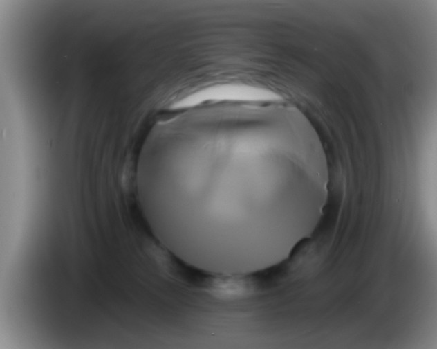 X0000084020181200703091955