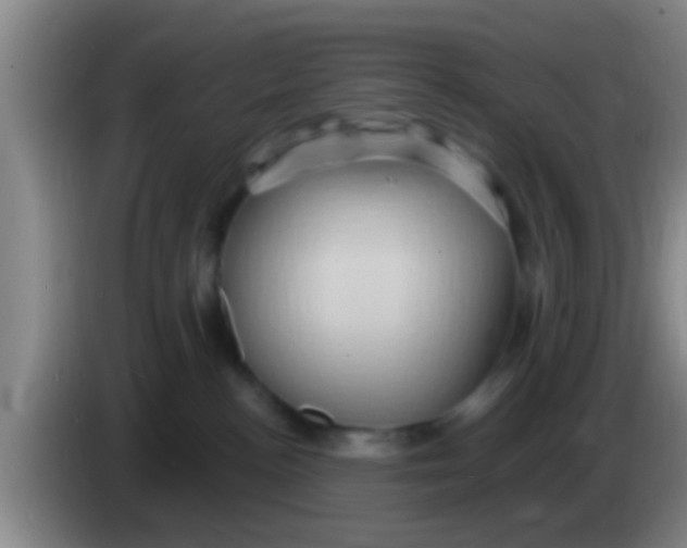 X0000084020188200703091955