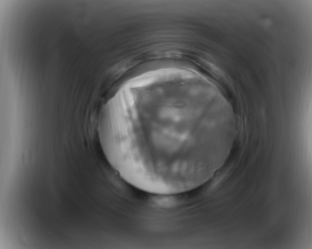 X0000084020189200703091955