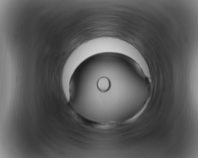 X0000084020190200703091955