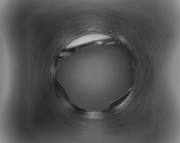 X0000084020192200703091956