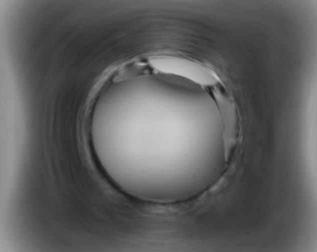 X0000084020193200703091955