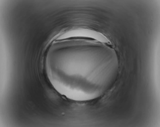 X0000084020194200703091955