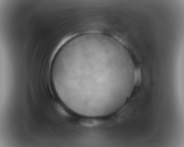 X0000084020195200703091955