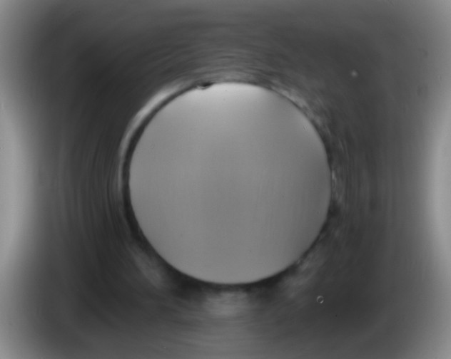 X0000084020196200703091955