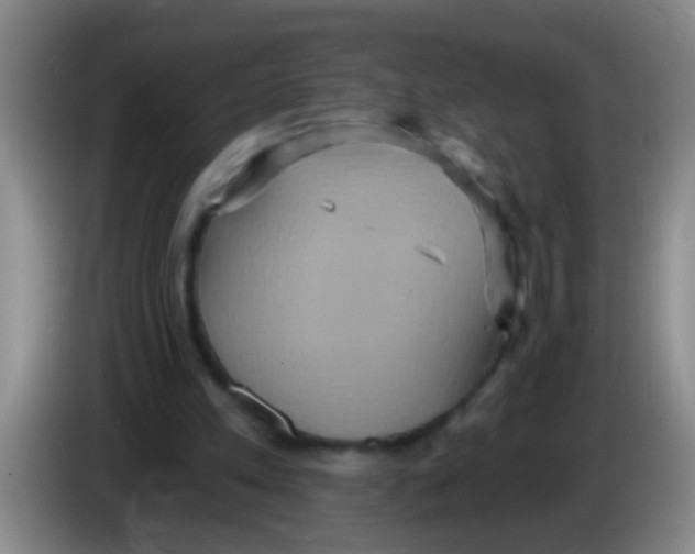 X0000084020197200703091955