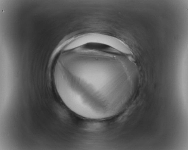 X0000084020198200703091955