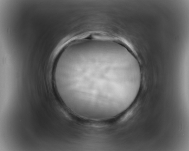 X0000084020199200703091955