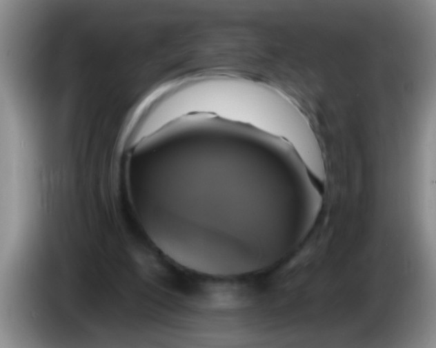 X0000084020200200703091955