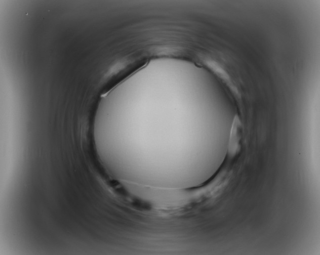 X0000084020201200703091955