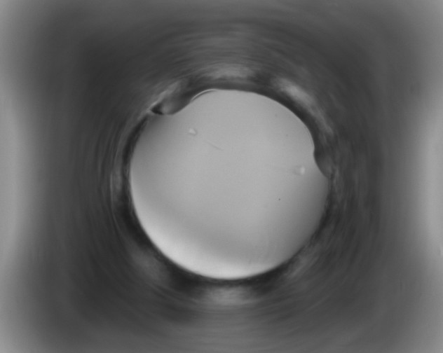 X0000084020202200703091955