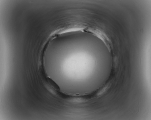 X0000084020203200703091955