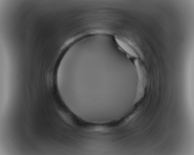 X0000084020204200703091955