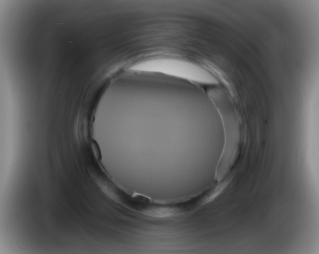 X0000084020205200703091955