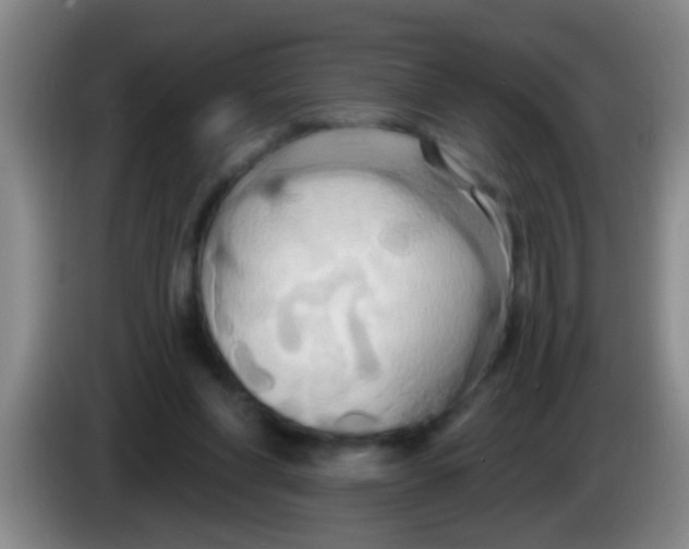 X0000084020206200703091955