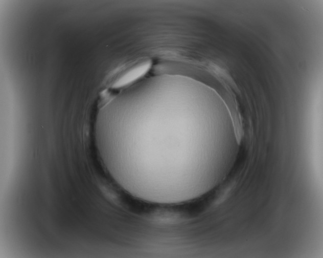 X0000084020207200703091955