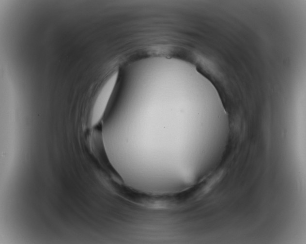 X0000084020209200703091955