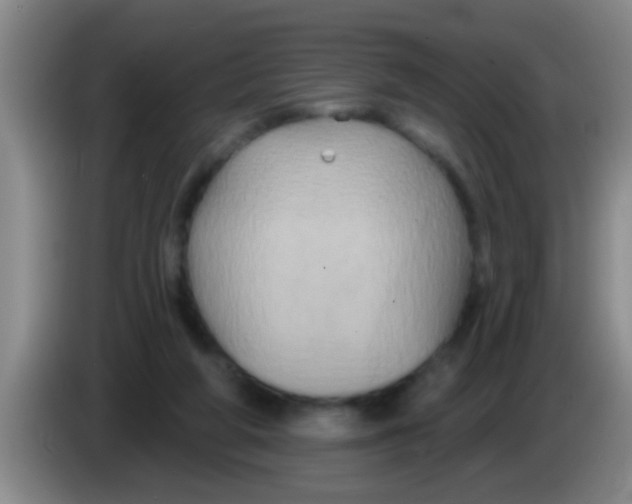 X0000084020210200703091955