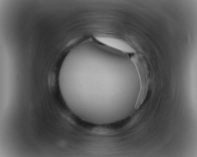 X0000084020211200703091955