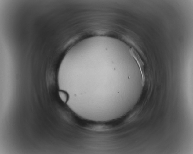 X0000084020212200703091955