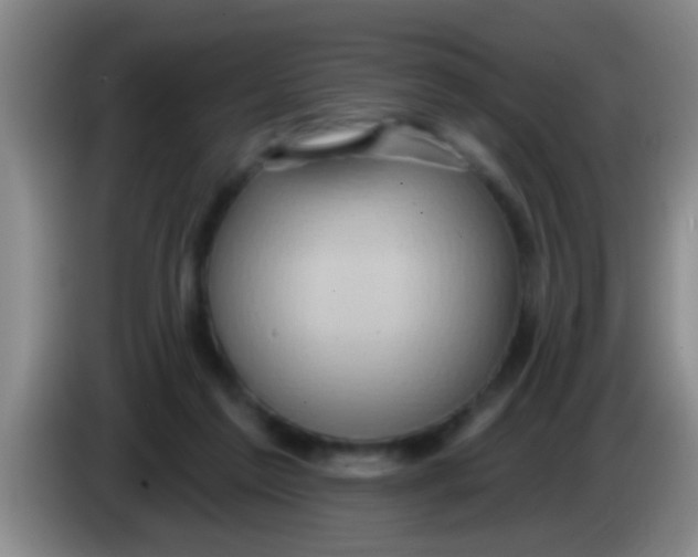 X0000084020213200703091955