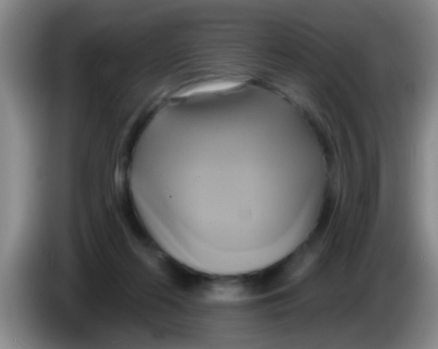 X0000084020214200703091955