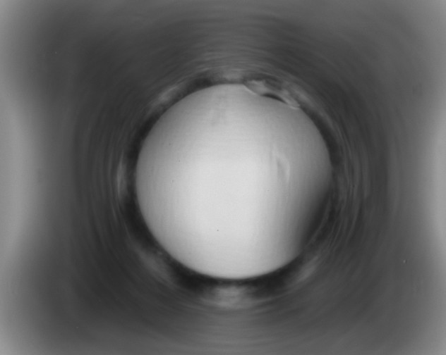 X0000084020216200703091955