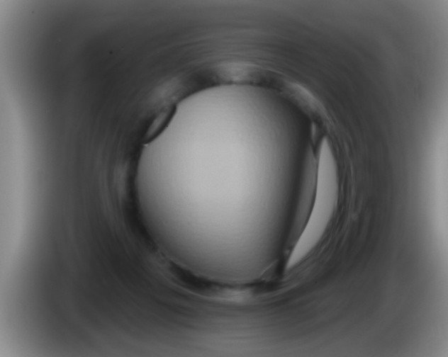 X0000084020217200703091955