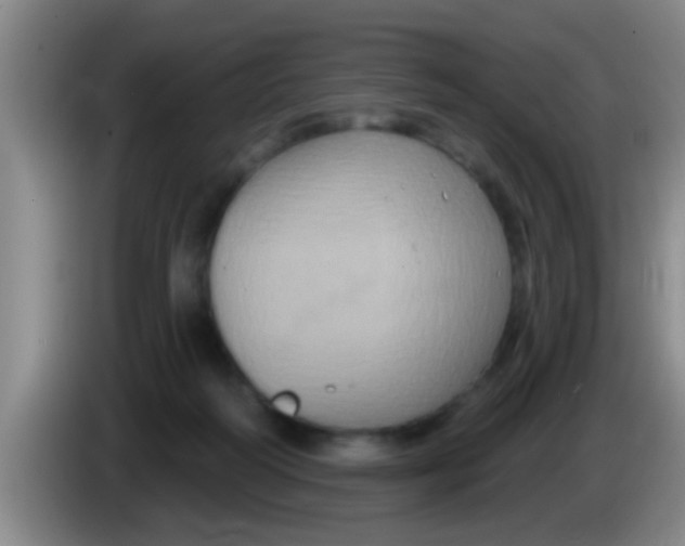 X0000084020218200703091955