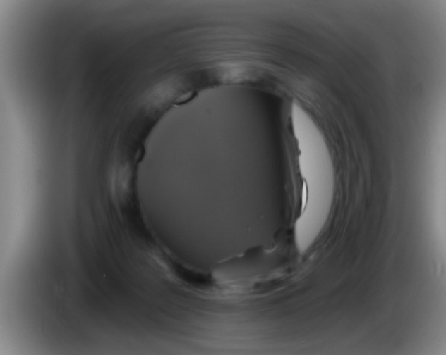 X0000084020219200703091955