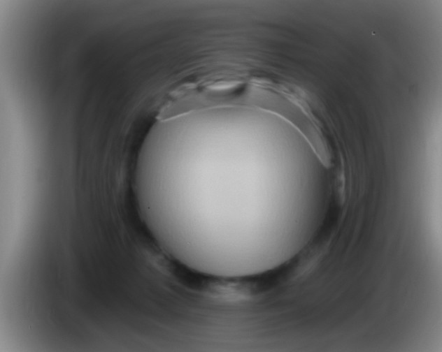 X0000084020221200703091954